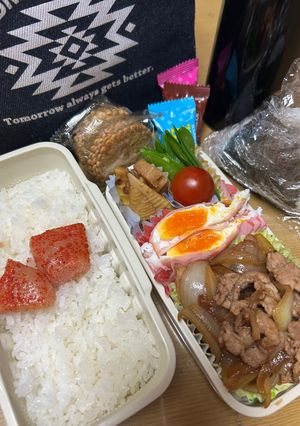 DK弁当 2026.4.20(月)-レシピのメイン写真