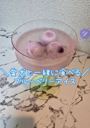【犬用】ブルーベリーアイス-レシピのメイン写真