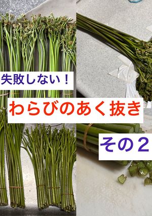 わらびのあく抜き(その❷) 失敗しない！-レシピのメイン写真