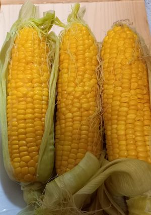 レンジで、とうもろこし🌽-レシピのメイン写真