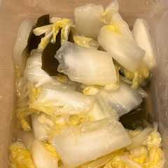 白菜の簡単漬物-レシピのメイン写真