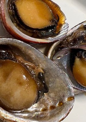 とこぶし煮付け🐚(アワビも可)-レシピのメイン写真