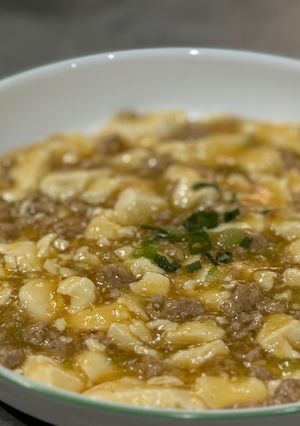 ズボラが頑張る麻婆豆腐-レシピのメイン写真