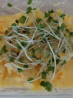 3分でできる!レンチン茶碗蒸し-レシピのメイン写真