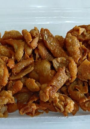 鶏皮の唐揚げ(鶏皮から出る油だけで)-レシピのメイン写真