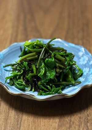 コシアブラの塩昆布和え-レシピのメイン写真