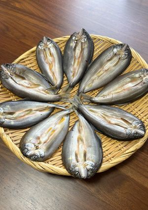 鮎の一夜干し-レシピのメイン写真
