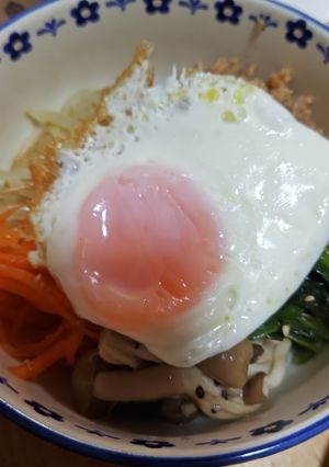 作り置きにも✬我が家のビビンバ丼-レシピのメイン写真