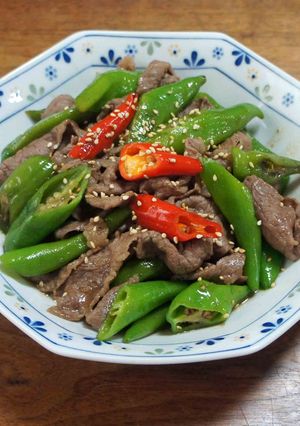 牛肉と甘長唐辛子のオイスター炒め-レシピのメイン写真