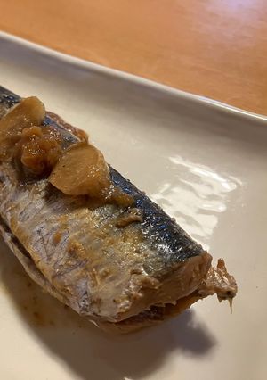 ウルメイワシの梅煮-レシピのメイン写真