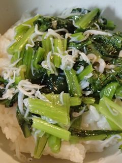 朝の小松菜ナムルご飯-レシピのメイン写真