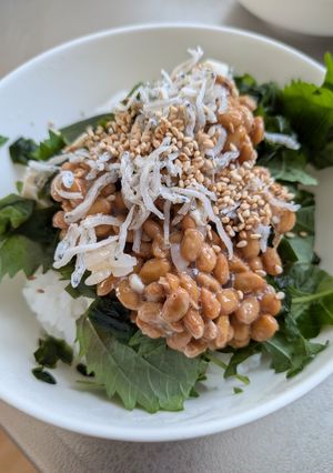栄養最強、わかめ納豆丼-レシピのメイン写真