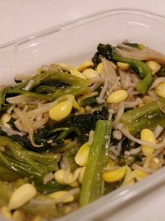 小松菜もやし榎のナムル【ホットクック】-レシピのメイン写真