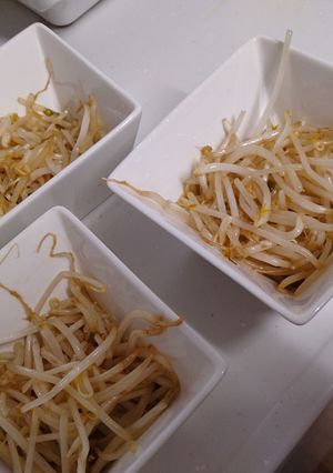 簡単★もやしのナムル-レシピのメイン写真