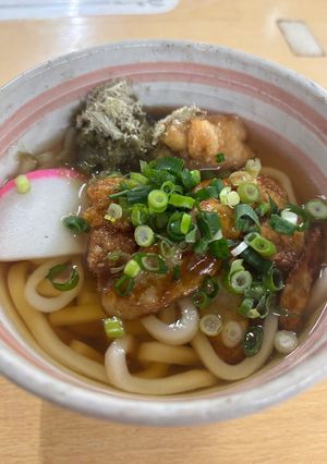 チキンチキンゴボウうどん-レシピのメイン写真
