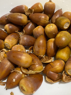 どんぐりの殻と薄皮の剥き方 忘記録-レシピのメイン写真