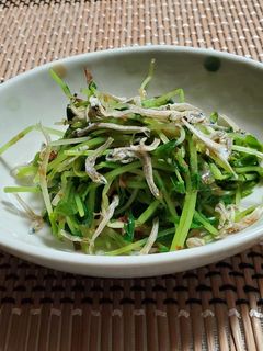 豆苗のじゃこおかか和え-レシピのメイン写真