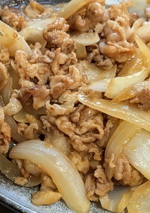 蜂蜜と昆布茶を下味に新玉葱と豚の生姜焼き-レシピのメイン写真