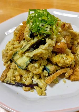 茄子の揚げきつねたぬき(丼)-レシピのメイン写真