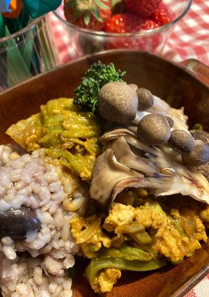 春キャベツのヘルシードライカレー-レシピのメイン写真