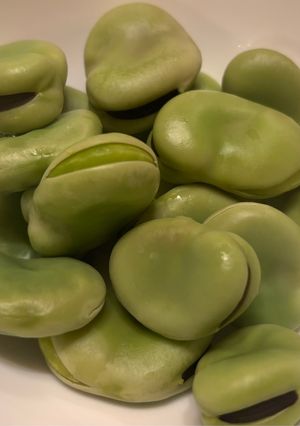 茹でそら豆-レシピのメイン写真