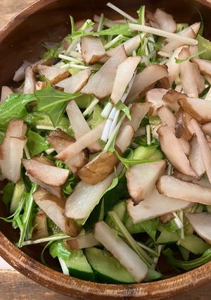 菊芋と水菜のサラダ-レシピのメイン写真