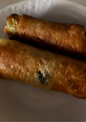 餃子の皮で春巻きの皮作り1-レシピのメイン写真