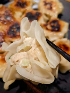 簡単★包まないヘルシー餃子-レシピのメイン写真