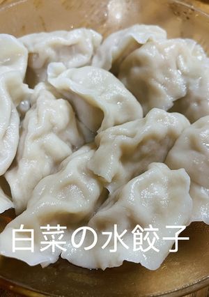 生地から水餃子を作るー豚白菜の水餃子-レシピのメイン写真