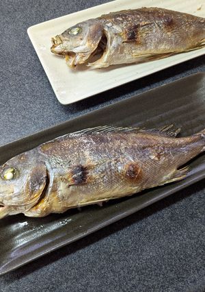 能登魚!シンプルに食す♡いさきの塩焼き-レシピのメイン写真