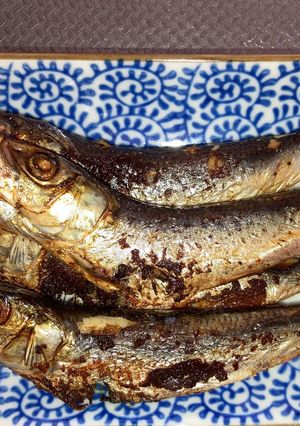 丸干し鰯をフライパンで焼く-レシピのメイン写真