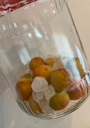 あんずシロップ-レシピのメイン写真