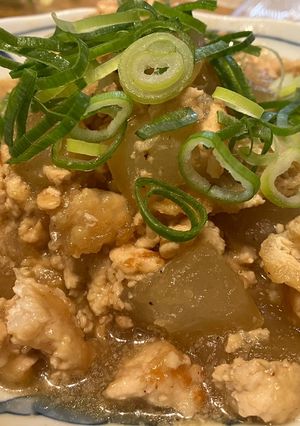 冬瓜と鶏むねミンチの炒め煮-レシピのメイン写真