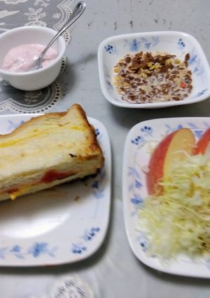 ホットサンドのレシピ-レシピのメイン写真