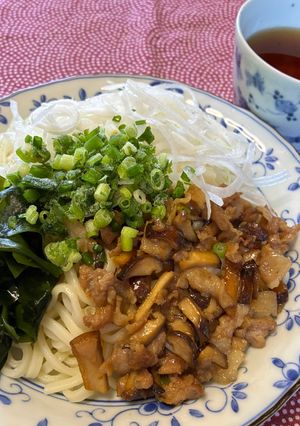 新玉ねぎの冷やしぶっかけうどん-レシピのメイン写真