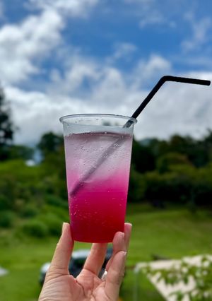 赤紫蘇シロップ-レシピのメイン写真
