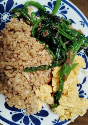 三色そぼろご飯-レシピのメイン写真