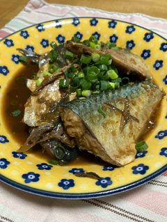 鯖のソース煮-レシピのメイン写真