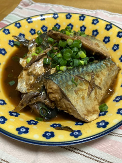 鯖のソース煮-レシピのメイン写真