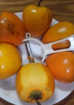 干し柿作りレシピ(保存版)：蜂屋柿-レシピのメイン写真