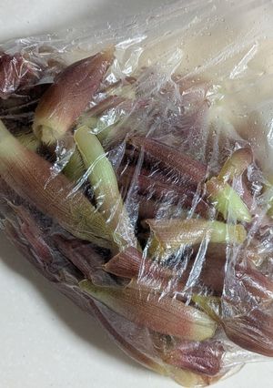 ミツカンマリネの素でミョウガのマリネ-レシピのメイン写真