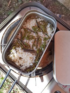 塩麹でわらびの炊き込みご飯☆-レシピのメイン写真