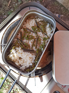 塩麹でわらびの炊き込みご飯☆-レシピのメイン写真