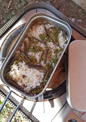 塩麹でわらびの炊き込みご飯☆-レシピのメイン写真