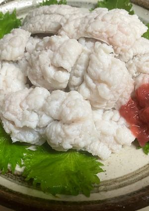 絶品、鱧の湯切り-レシピのメイン写真