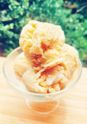豆乳バニラアイスクリーム♪じぶんアイス-レシピのメイン写真