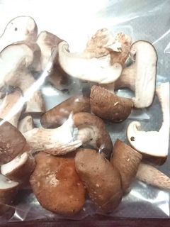 生椎茸の冷凍保存-レシピのメイン写真
