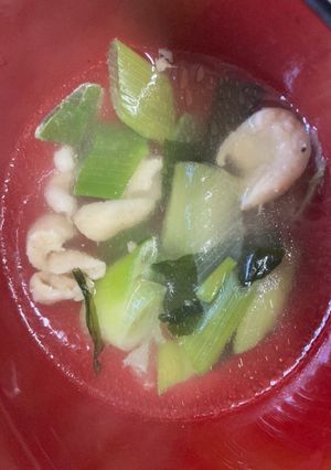 とり皮、長ネギ、わかめのコクうまスープ-レシピのメイン写真