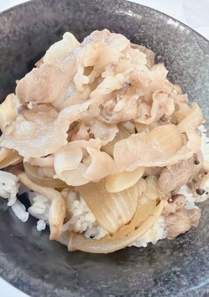 茅乃舎だし（顆粒だし）で簡単つゆだく牛丼-レシピのメイン写真