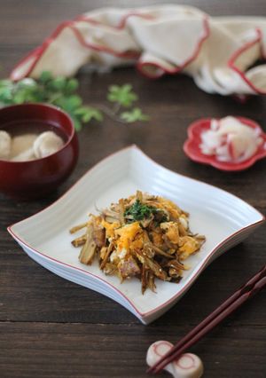 人参ではなくごぼうでしりしり-レシピのメイン写真